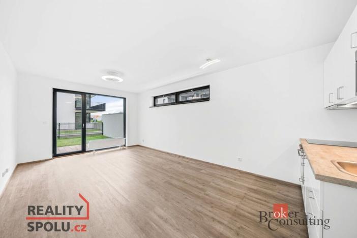 Prodej bytu 1+kk, Plzeň - Jižní Předměstí, Železná, 37 m2