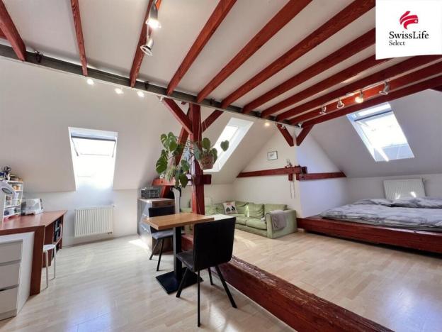 Pronájem bytu 1+kk, Plzeň, Borská, 65 m2