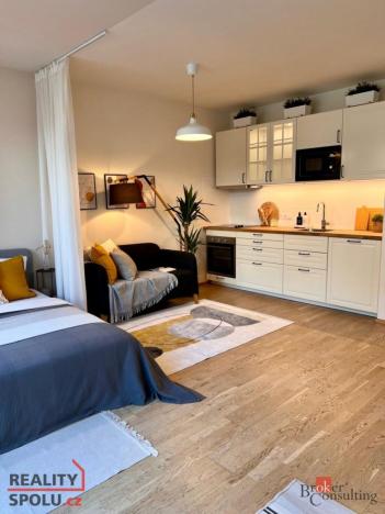 Pronájem bytu 1+kk, Praha - Holešovice, 41 m2
