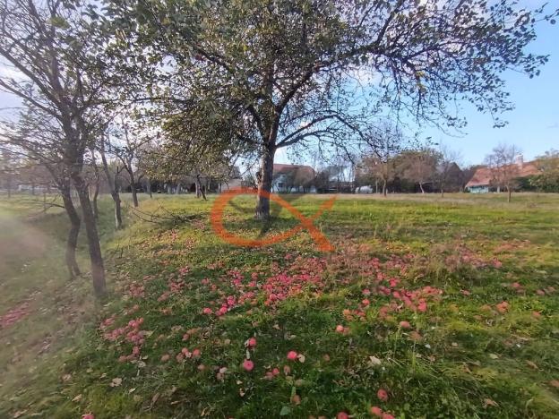 Prodej rodinného domu, Ostrata, 154 m2