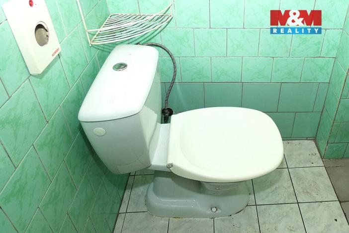 Pronájem obchodního prostoru, Kutná Hora - Hlouška, Masarykova, 201 m2