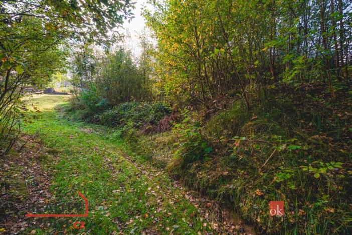 Prodej pozemku pro bydlení, Železná Ruda, 607 m2