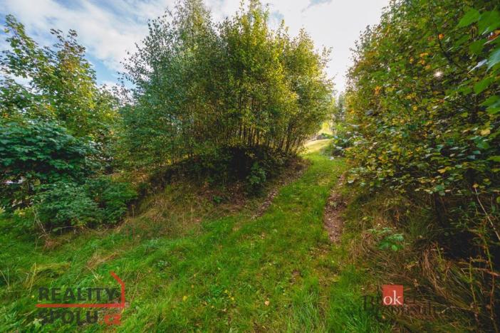 Prodej pozemku pro bydlení, Železná Ruda, 607 m2