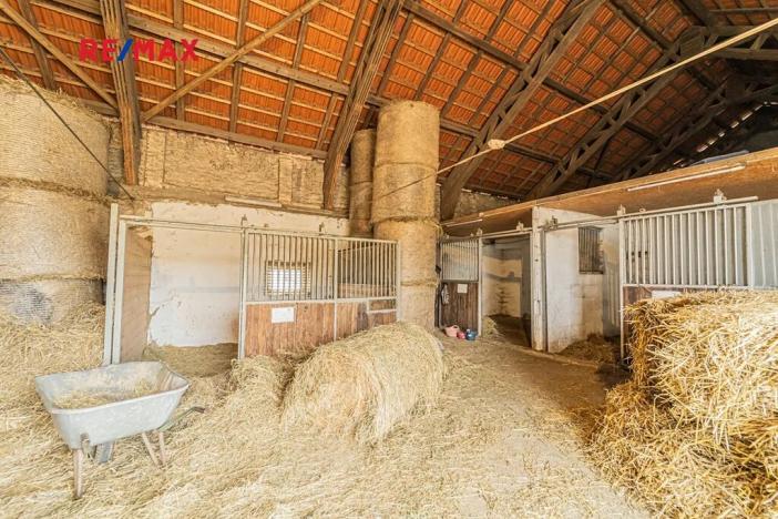 Prodej zemědělské usedlosti, Chlumín, 740 m2