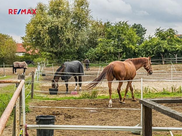 Prodej zemědělské usedlosti, Chlumín, 740 m2