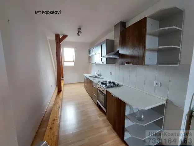 Prodej rodinného domu, Krnov - Pod Bezručovým vrchem, Albrechtická, 300 m2