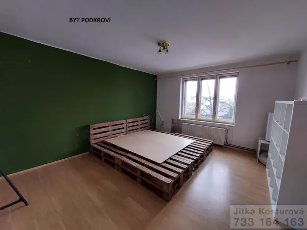 Prodej rodinného domu, Krnov - Pod Bezručovým vrchem, Albrechtická, 300 m2