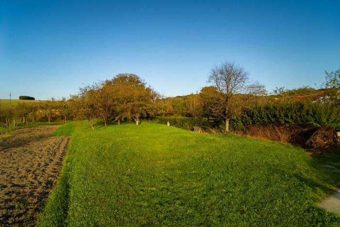 Prodej pozemku, Pitín, 768 m2