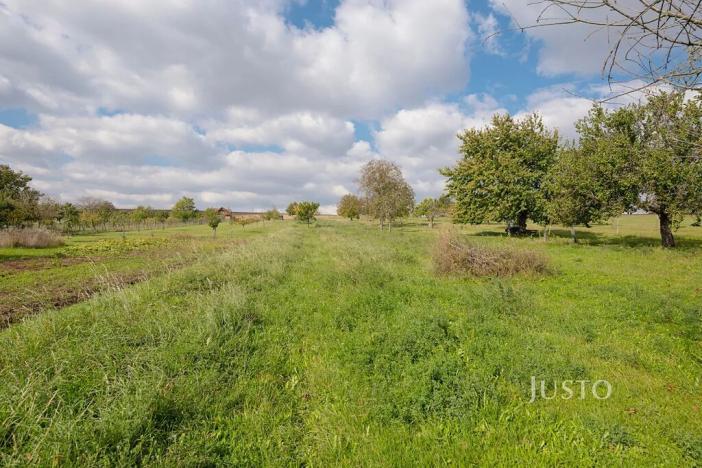 Prodej pozemku pro bydlení, Těmice, 2331 m2