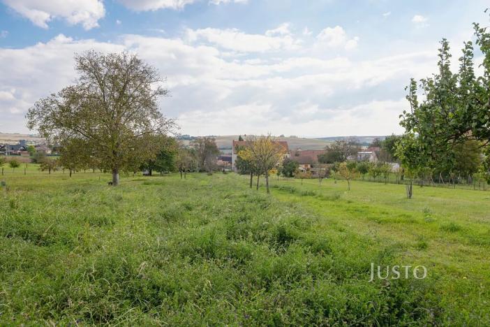 Prodej pozemku pro bydlení, Těmice, 2331 m2