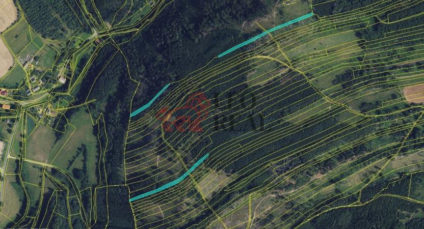 Prodej lesa, Městečko Trnávka, 33528 m2