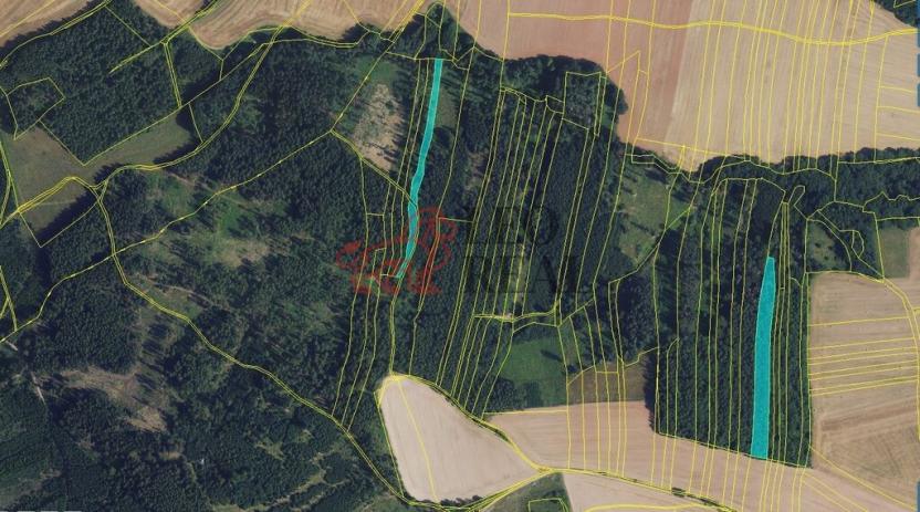 Prodej lesa, Městečko Trnávka, 33528 m2