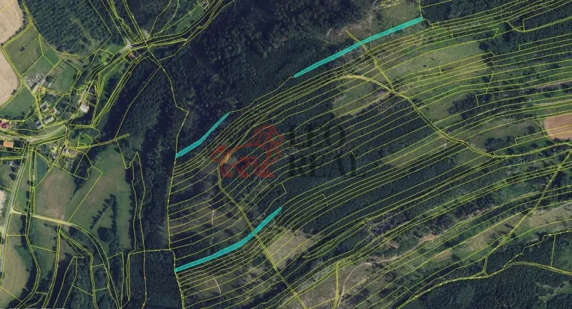 Prodej lesa, Městečko Trnávka, 33528 m2