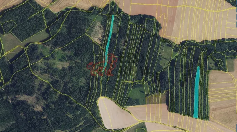 Prodej lesa, Městečko Trnávka, 33528 m2