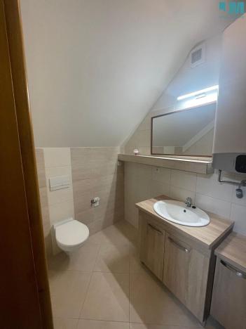 Pronájem bytu 1+kk, Moravské Budějovice, 47 m2