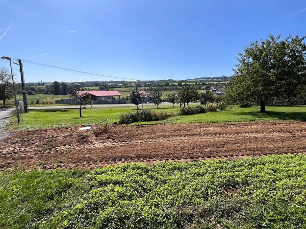 Prodej pozemku pro bydlení, Brodek u Prostějova, 1937 m2