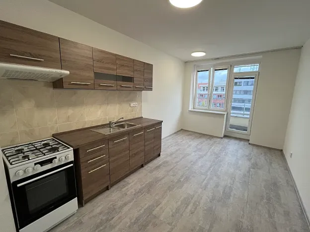 Pronájem bytu 1+1, Brno, Kounicova, 59 m2