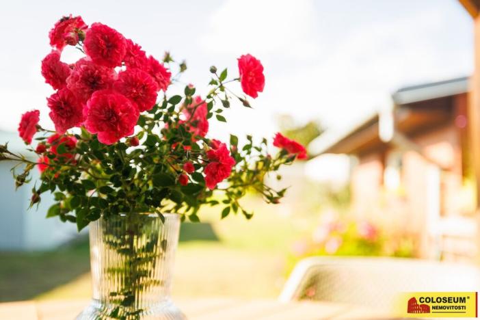 Prodej rodinného domu, Lužice, Velkomoravská, 260 m2