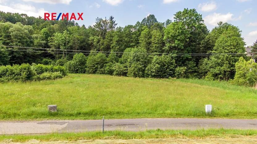 Prodej pozemku pro bydlení, Nový Bor, 2529 m2