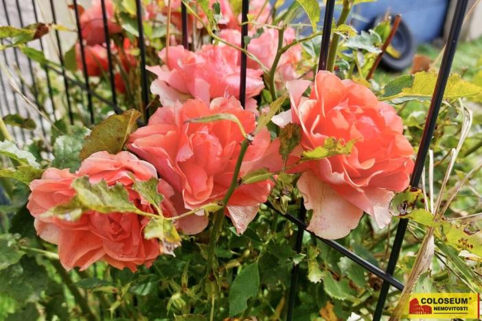 Prodej rodinného domu, Bohdalice-Pavlovice - Pavlovice, 96 m2