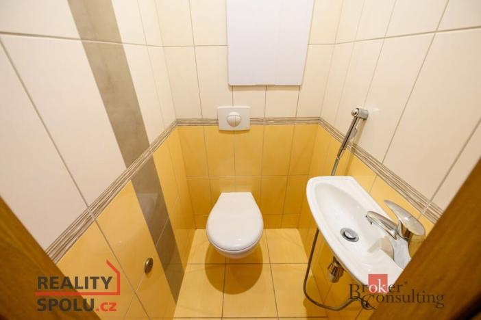 Pronájem bytu 3+1, Horní Bříza, Družstevní, 71 m2