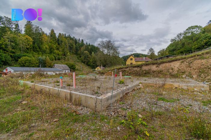 Prodej pozemku pro bydlení, Hanušovice, 4560 m2