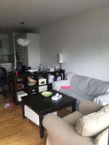 Pronájem bytu 2+kk, Praha - Karlín, Křižíkova, 55 m2