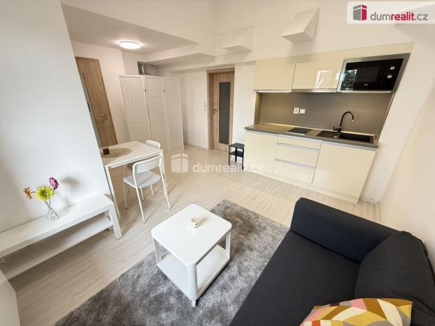 Pronájem bytu 2+kk, Praha - Vinohrady, Lublaňská, 40 m2
