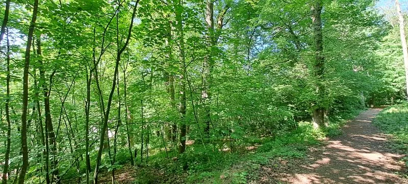 Prodej pozemku, Bechyně, 7030 m2