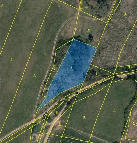 Prodej lesa, Číchov, 3220 m2