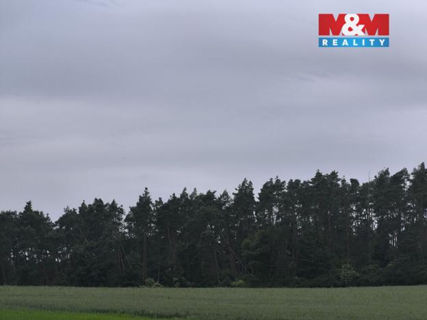 Prodej lesa, Střelské Hoštice - Kozlov, 20128 m2