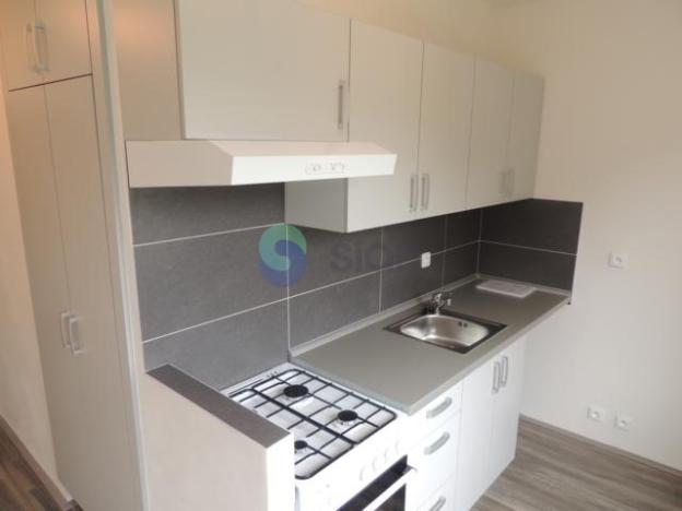 Pronájem bytu 1+1, Ostrava - Výškovice, Proskovická, 40 m2