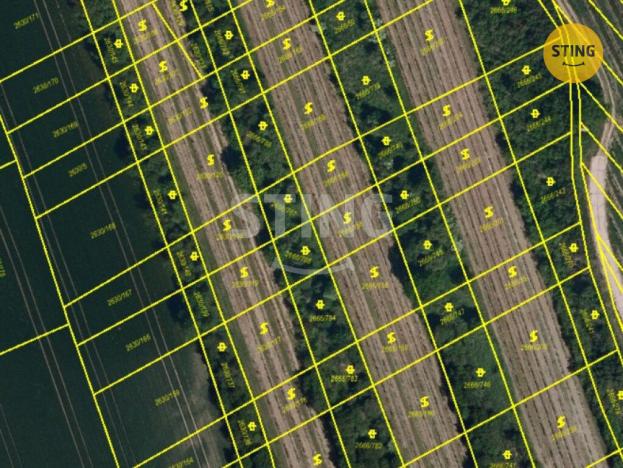 Prodej pole, Čejkovice, 3674 m2