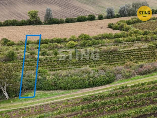 Prodej pole, Čejkovice, 3674 m2