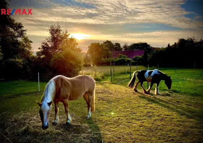 Prodej zemědělské usedlosti, Uhelná Příbram, 300 m2
