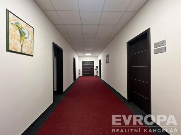 Pronájem kanceláře, Praha - Kunratice, Jana Růžičky, 13 m2