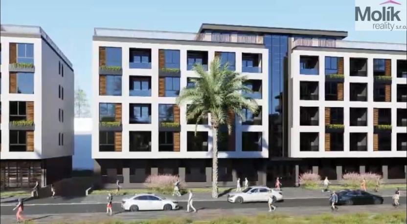 Prodej bytu 2+kk, Golem, 75 m2