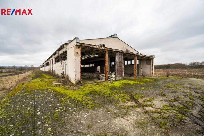 Prodej komerčního pozemku, Přelouč, 9053 m2