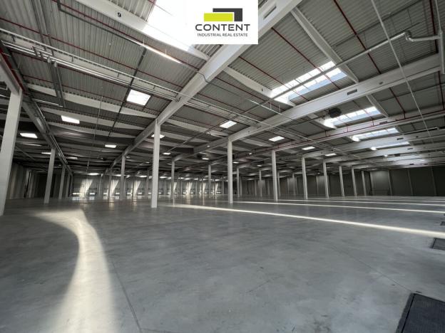 Pronájem skladu, Ostrava - Vítkovice, Halasova, 5195 m2