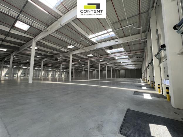 Pronájem skladu, Ostrava - Vítkovice, Halasova, 5195 m2