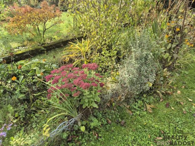 Prodej chaty, Třinec, Kaštanová, 30 m2