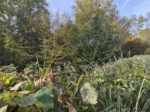 Prodej chaty, Třinec, Kaštanová, 30 m2