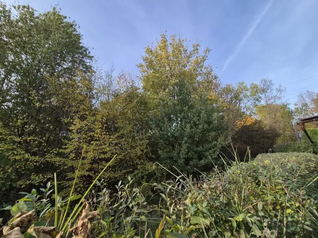 Prodej chaty, Třinec, Kaštanová, 30 m2