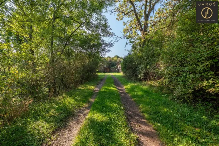 Prodej pozemku pro bydlení, Tachlovice, Mlýnská, 16910 m2