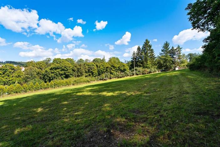 Prodej pozemku pro bydlení, Plasy, 3866 m2