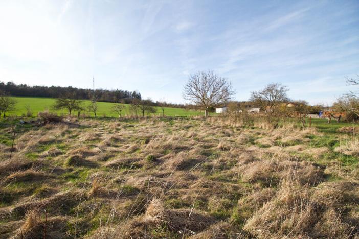 Prodej pozemku pro bydlení, Ptenín, 620 m2