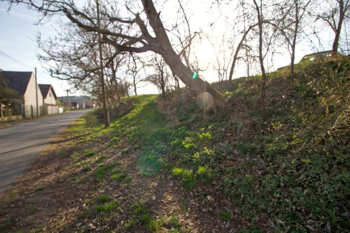 Prodej pozemku pro bydlení, Ptenín, 620 m2