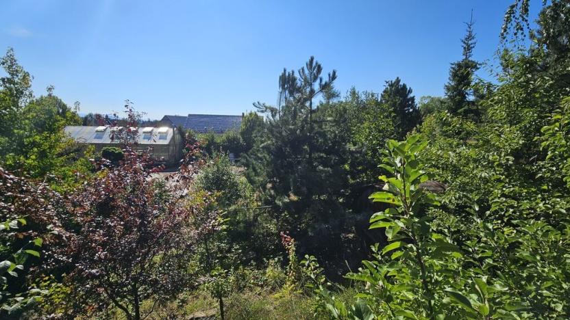 Prodej pozemku pro bydlení, Ústí nad Labem, 1231 m2