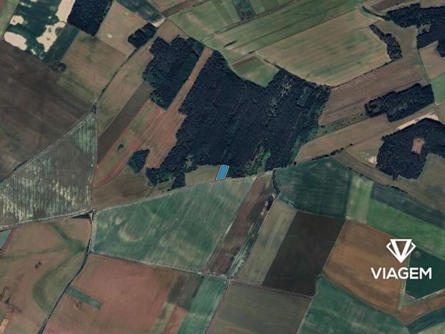 Prodej pole, Velký Borek, 3713 m2