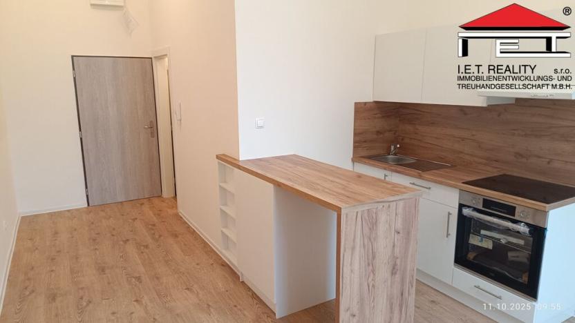 Pronájem bytu 1+kk, Ostrava, Palackého, 22 m2